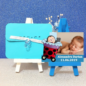 Magnet Contur Buburuz