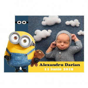 Magnet Contur Minions 5