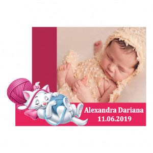 Magnet Contur Pisicile Aristocrate 17