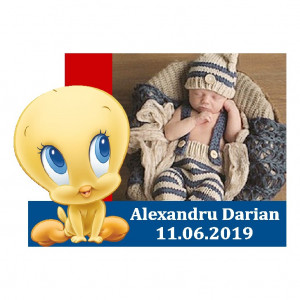 Magnet Contur Tweety
