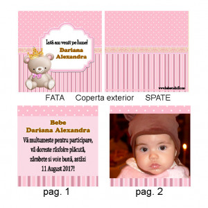 Marturie Botez Carticica 10 Foto Ursulet Regal 2