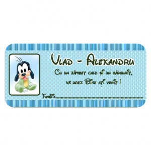 Plic Botez Goofy 2