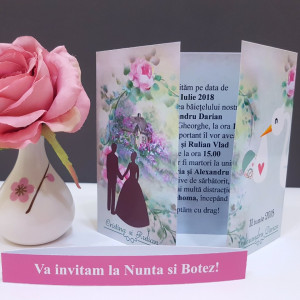 Invitatie 2 in 1 Nunta-Botez Vintage NB12