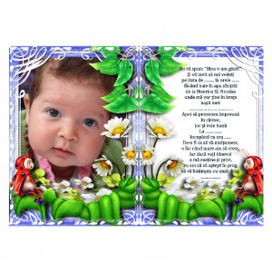 Invitatie Botez Magnetica Buburuza 3
