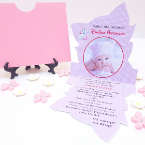 Invitatii Botez Contur Pisicile Aristocrate 4