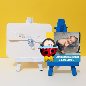 Magnet Contur Buburuz