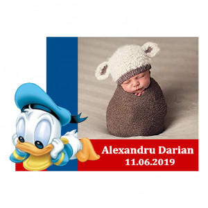 Magnet Contur Donald 8