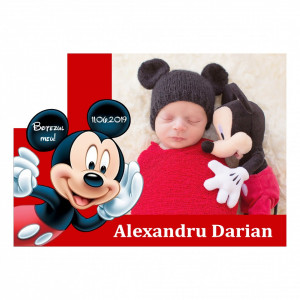 Magnet Contur Mickey Mouse 9