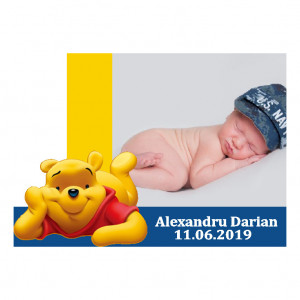 Magnet Contur Winnie The Pooh 15