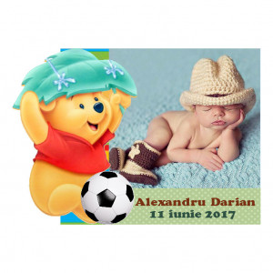 Magnet Contur Winnie The Pooh 20