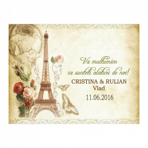Marturie Nunta Magnet Paris in Love 2