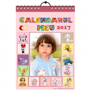 Calendar de perete Silver MOD 14