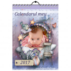 Calendar de perete Silver MOD 19
