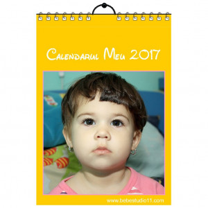 Calendar de perete Silver MOD 37