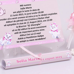 Invitatie Botez Papirus Pisicile Aristocrate