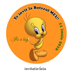 Invitatie Botez Rotunda Tweety