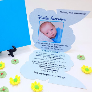 Invitatii Botez Contur Albinuta