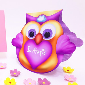Invitatii Botez Contur Bufnita F2