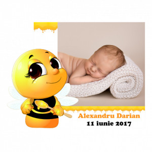 Magnet Contur Albinutul