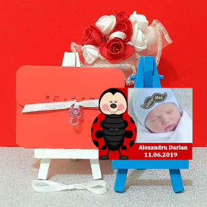 Magnet Contur Buburuz