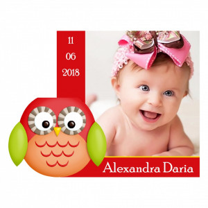 Magnet Contur Bufnita Rosie 1