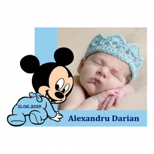 Magnet Contur Mickey Mouse 12
