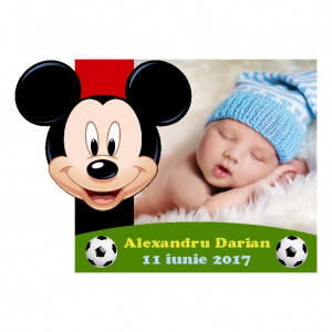 Magnet Contur Mickey Mouse 18