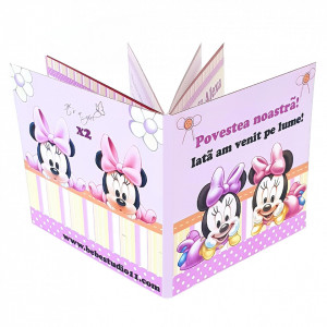 Marturie Gemeni Carticica 2 Minnie 2