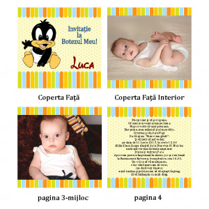 Invitatie Botez Carticica Duffy Duck