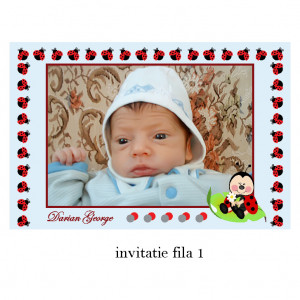 Invitatie Botez Cu Capsa Disney 33