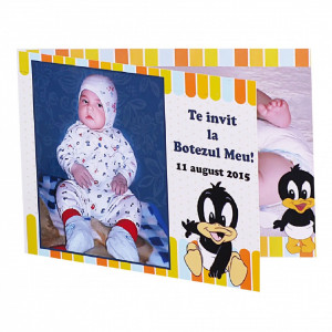Invitatie Botez Dubla Baby Duffy Duck