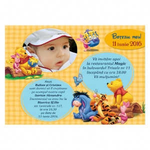 Invitatie Botez Magnetica Winnie The Pooh 2