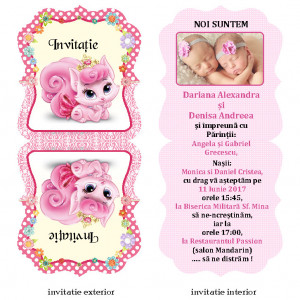 Invitatie Gemeni Contur Disney 34