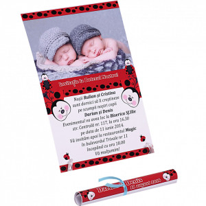 Invitatie Gemeni Papirus 2-Buburuzi
