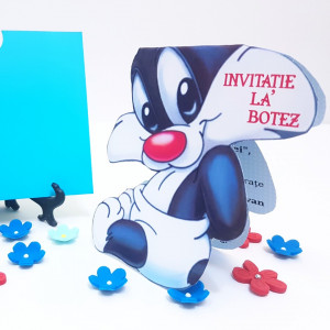 Invitatii Botez Contur Silvester