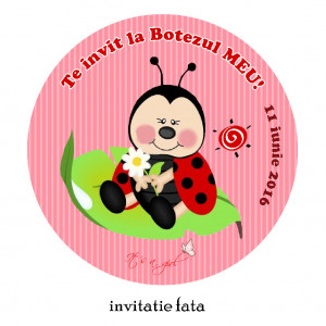 Invitatii Botez Rotunde Buburuza 2