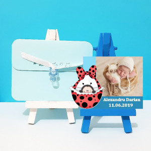 Magnet Contur Buburuz
