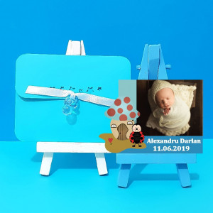 Magnet Contur Buburuz