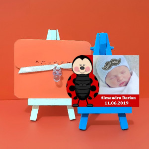 Magnet Contur Buburuz