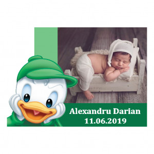 Magnet Contur Donald 11