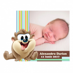 Magnet Contur Tazz