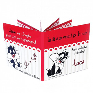 Marturie Carticica Silvester