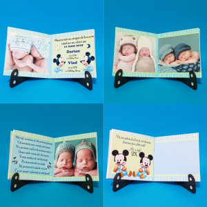 Marturie Gemeni Carticica 2 Mickey 2