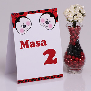 Nr de Masa Botez Gemeni Buburuze