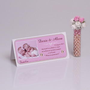 Plic cu Foto Botez Gemeni Fairy