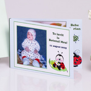 Invitatie Botez Dubla Buburuz 2