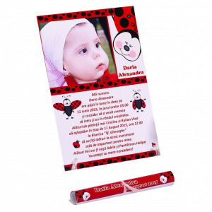 Invitatie Botez Papirus Buburuza 1