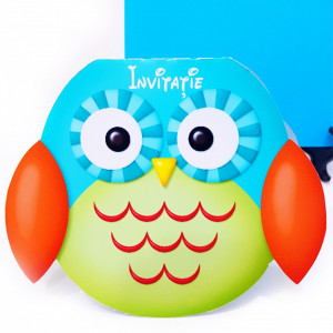 Invitatii Botez Contur Bufnita 1