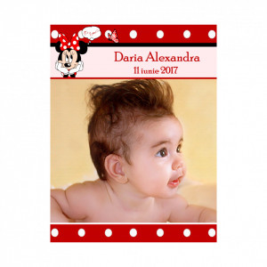Magnet Botez Disney 2
