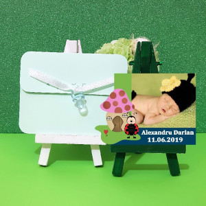 Magnet Contur Buburuz